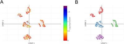 TSPAN4 is a prognostic and immune target in Glioblastoma multiforme